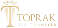 토프락 vip 이전